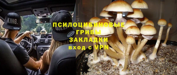 молекула духа Тавда