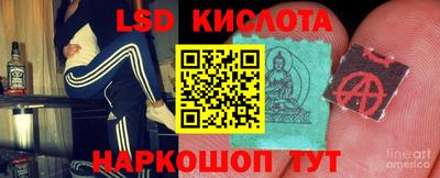 мяу мяу мука Славгород
