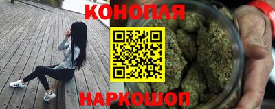 Альфа ПВП Славянск-на-Кубани
