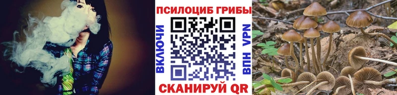 Галлюциногенные грибы Cubensis Севастополь