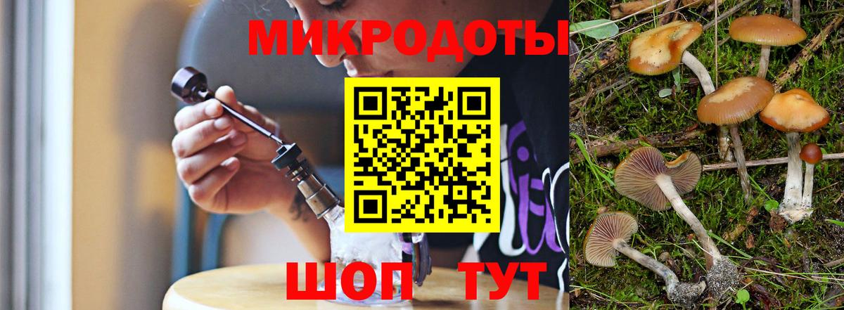 Севастополь  Псилоцибиновые грибы Psilocybine cubensis  Вход с VPN 